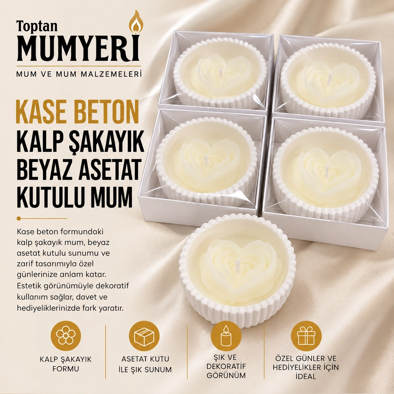 Beton Kase Kalp Şakayık Beyaz Asetat Kutulu Mum