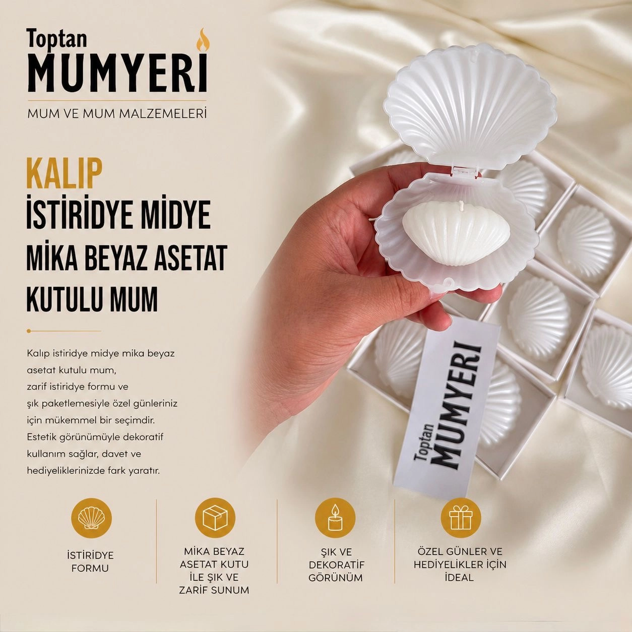 Kalıp İstiridye Midye Mika Beyaz Asetat Kutulu Mum