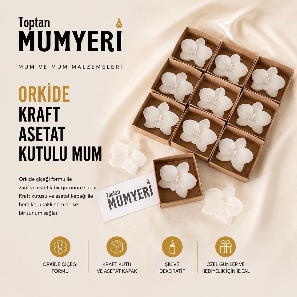 Orkide Kraft Asetat Kutulu Mum