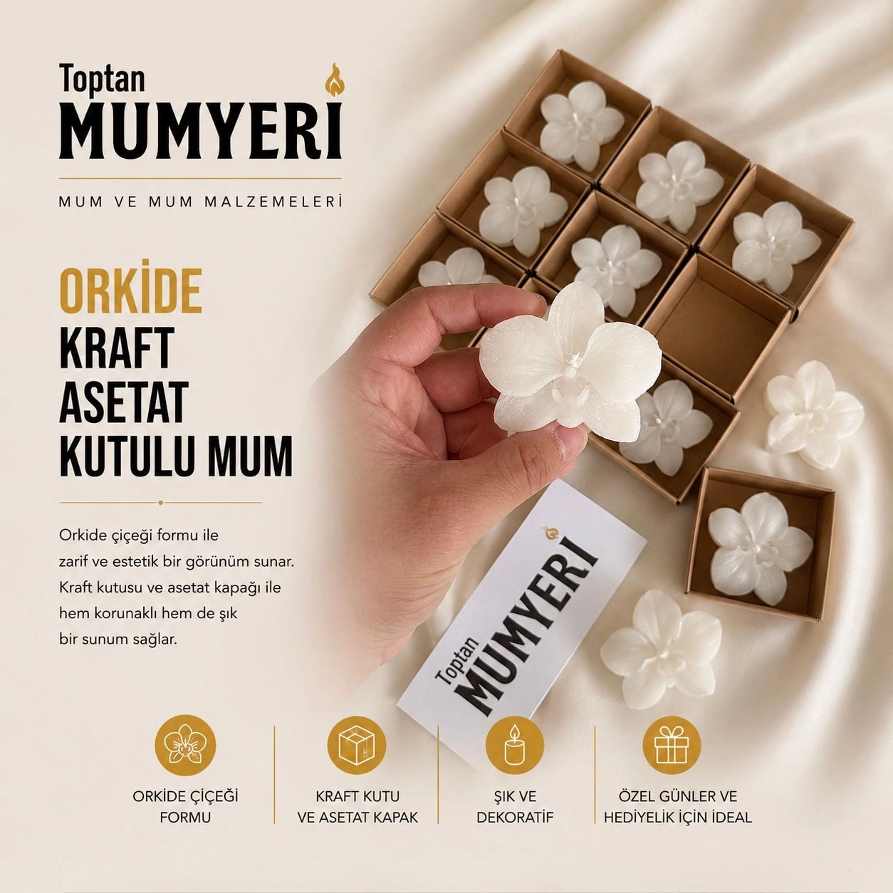 Orkide Kraft Asetat Kutulu Mum