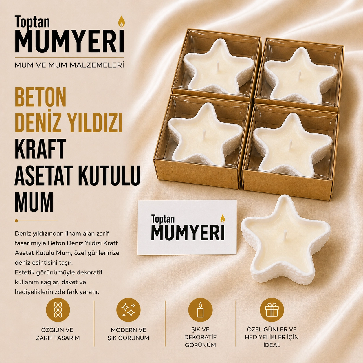 Beton Deniz Yıldızı Kraft Asetat Kutulu Mum