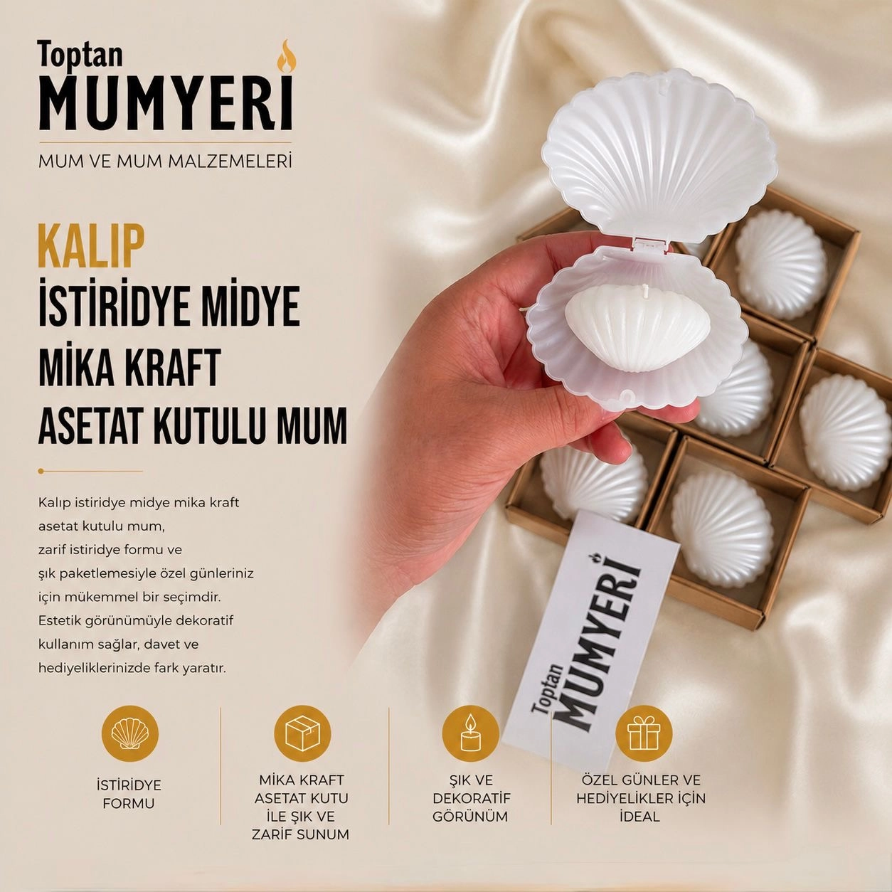 Kalıp İstiridye Midye Mika Kraft Asetat Kutulu Mum