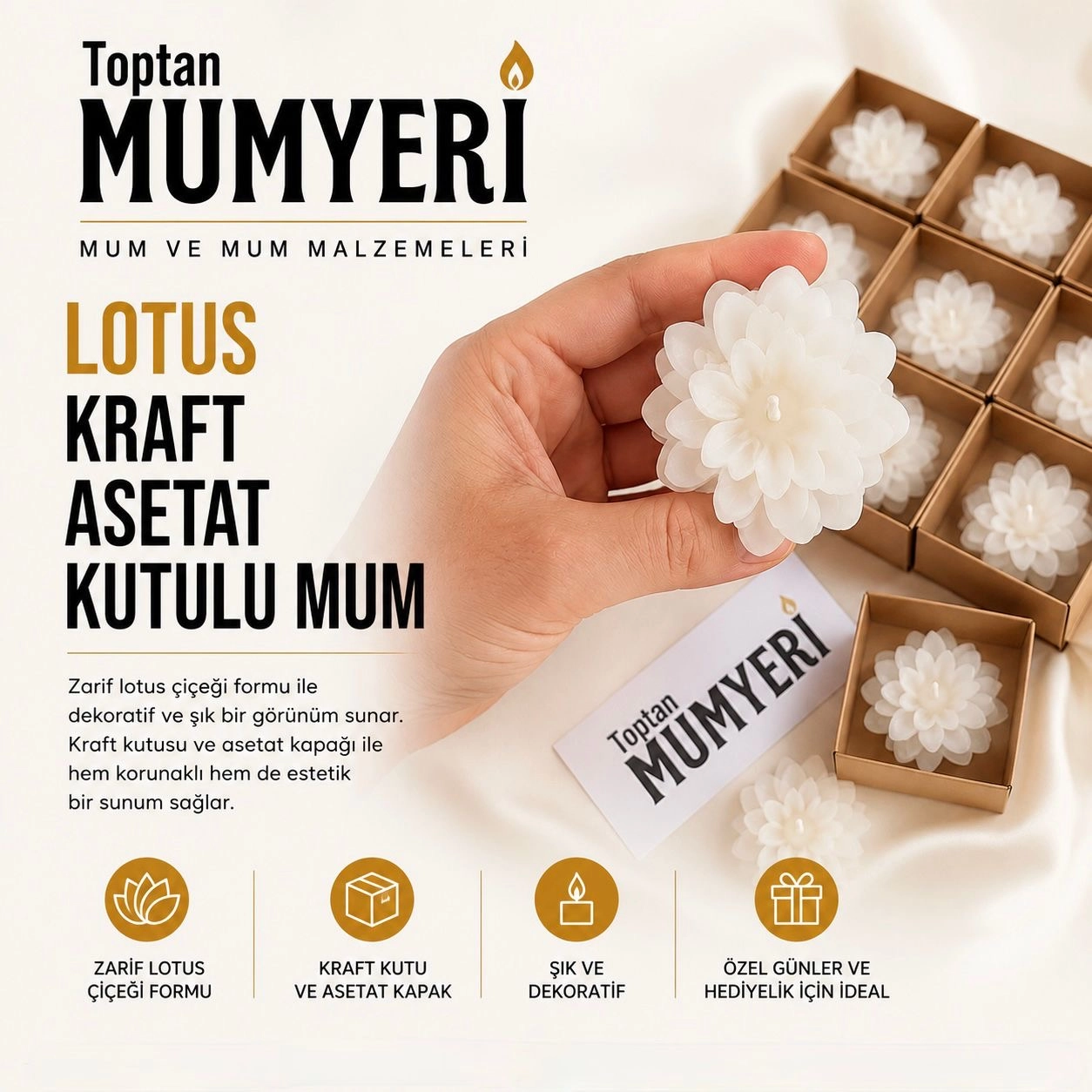 Lotus Kraft Asetat Kutulu Mum