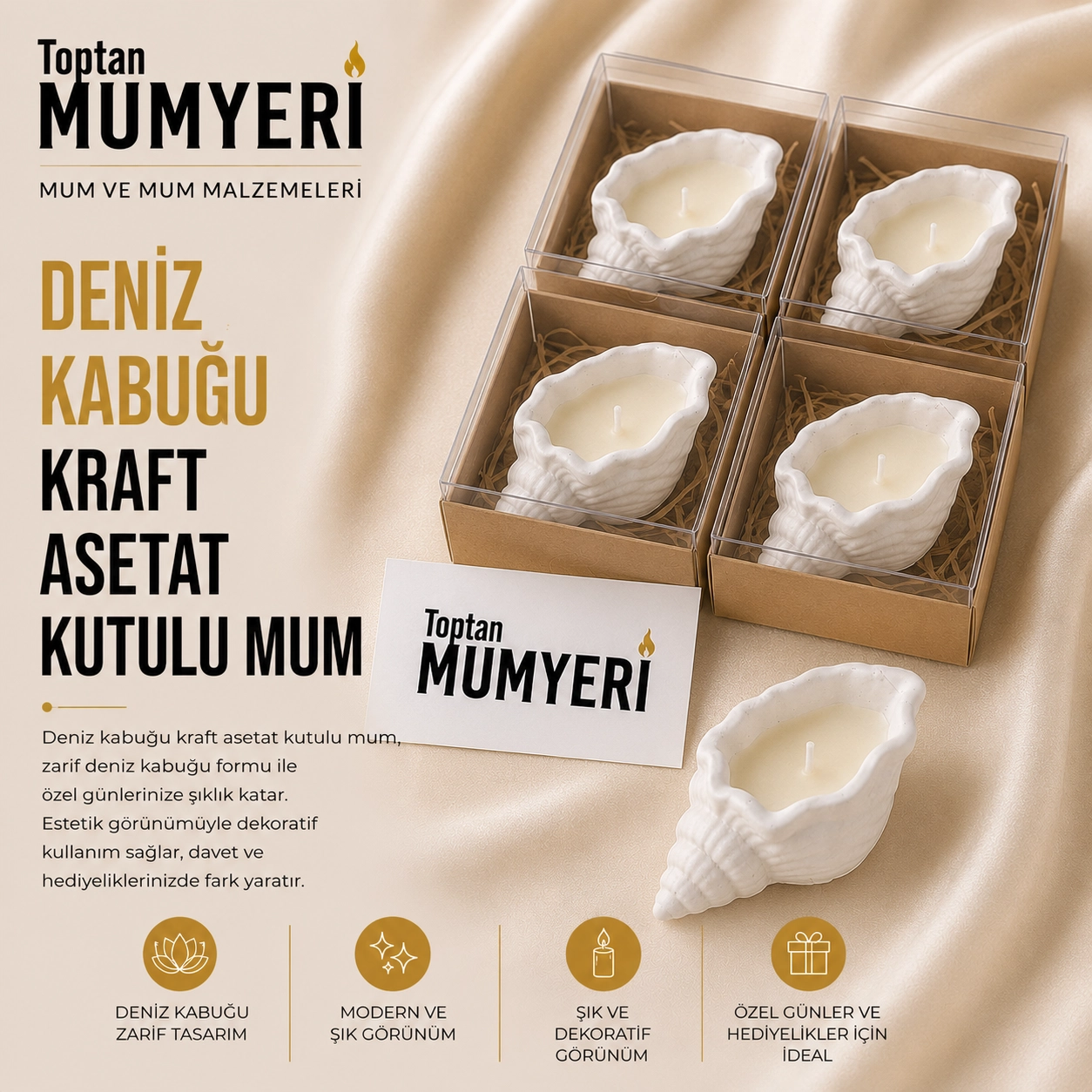 Beton Deniz Kabuğu Kraft Asetat Kutulu Mum