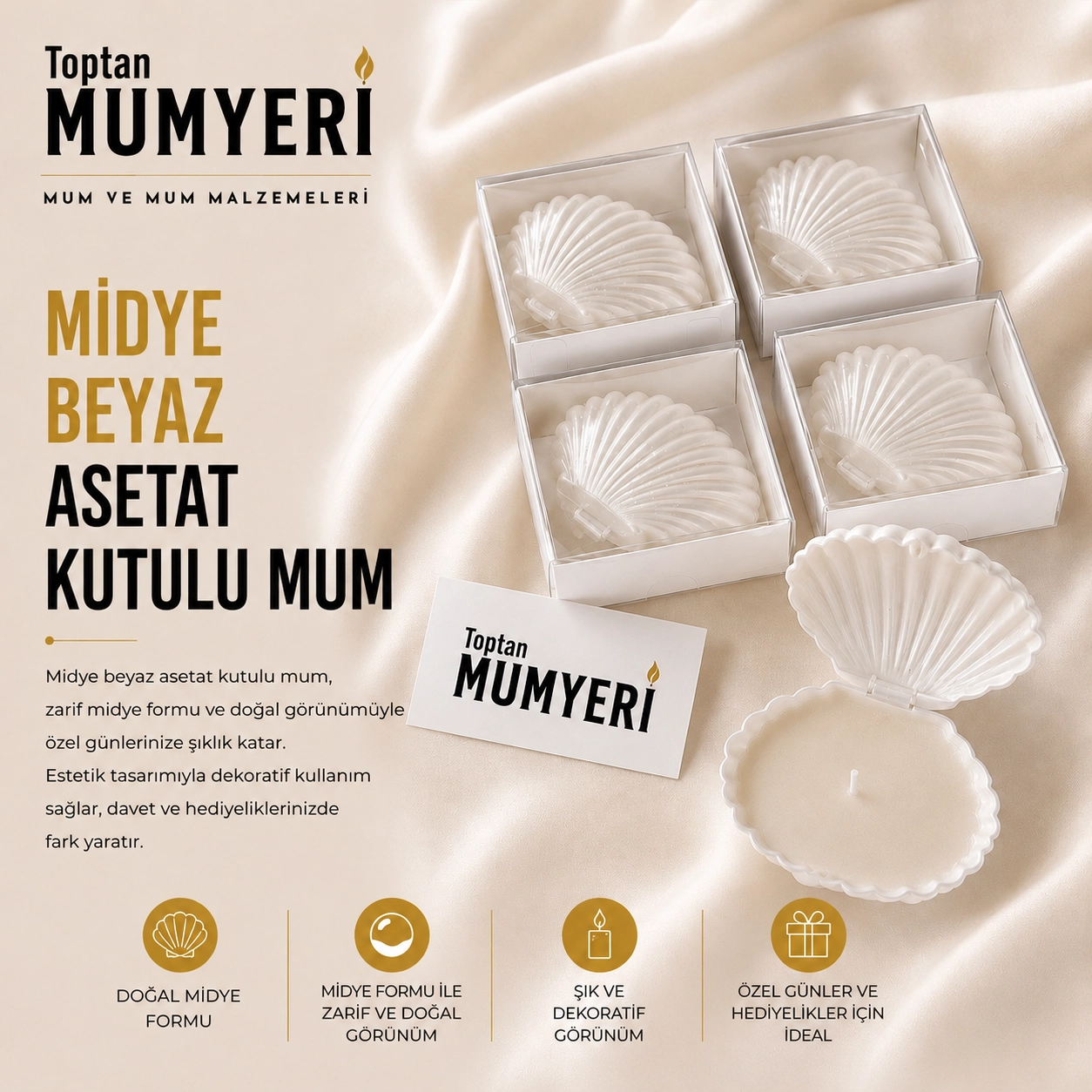 Midye Demonte Beyaz Asetat Kutulu Mum