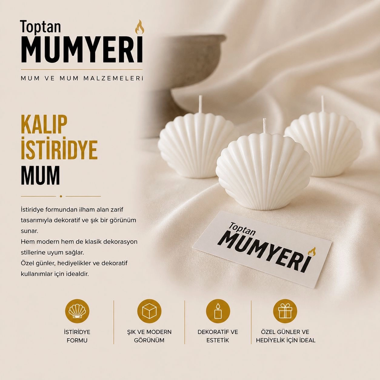 Kalıp İstiridye Mum