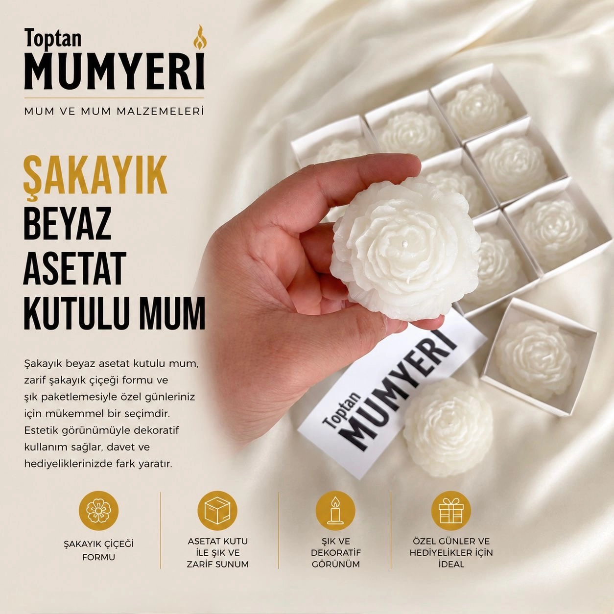 Şakayık Gül Beyaz Asetat Kutulu Mum