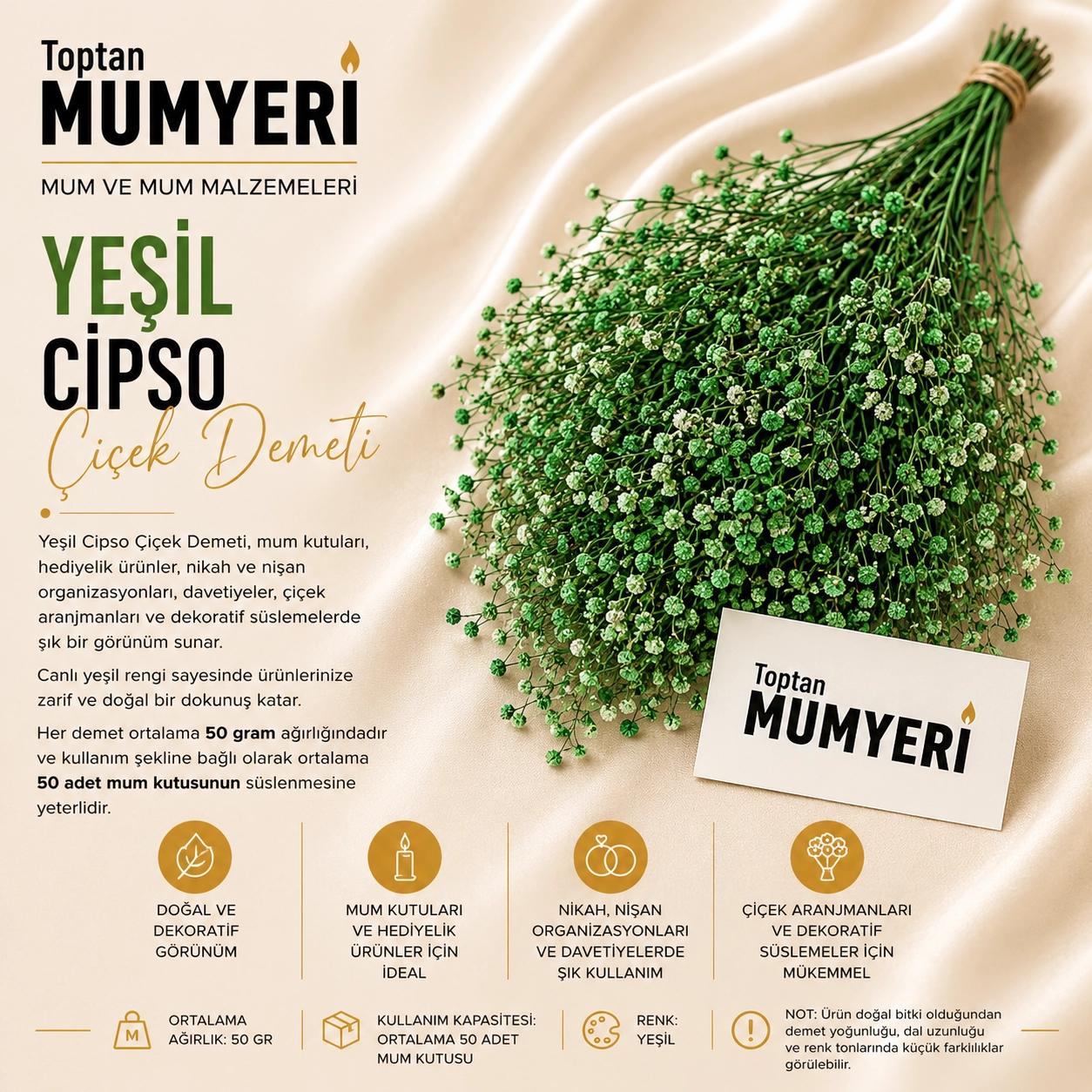 Yeşil Cipso Çiçek Demeti