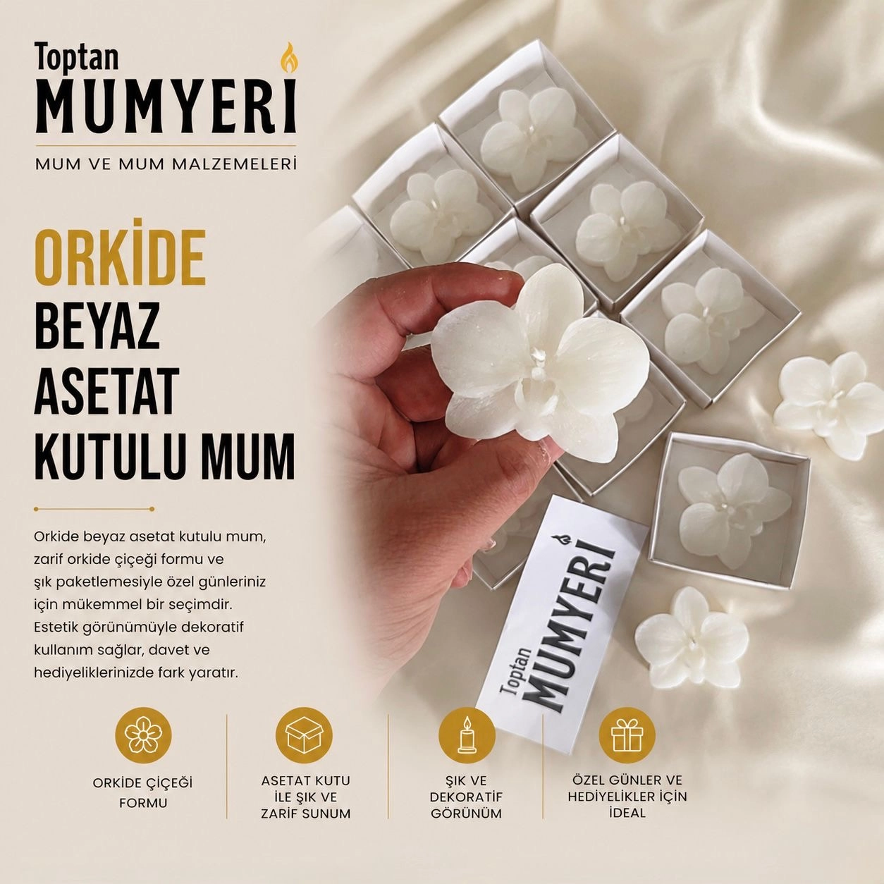 Orkide Beyaz Asetat Kutulu Mum