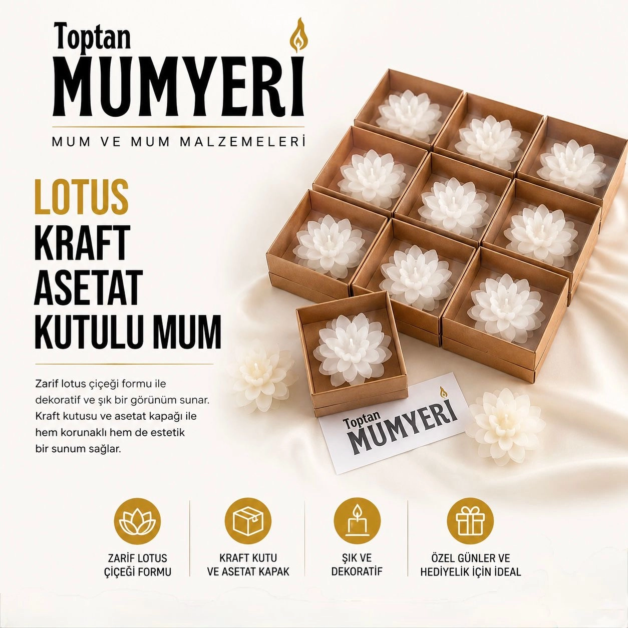 Lotus Kraft Asetat Kutulu Mum