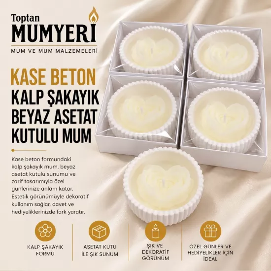 Beton Kase Kalp Şakayık Beyaz Asetat Kutulu Mum