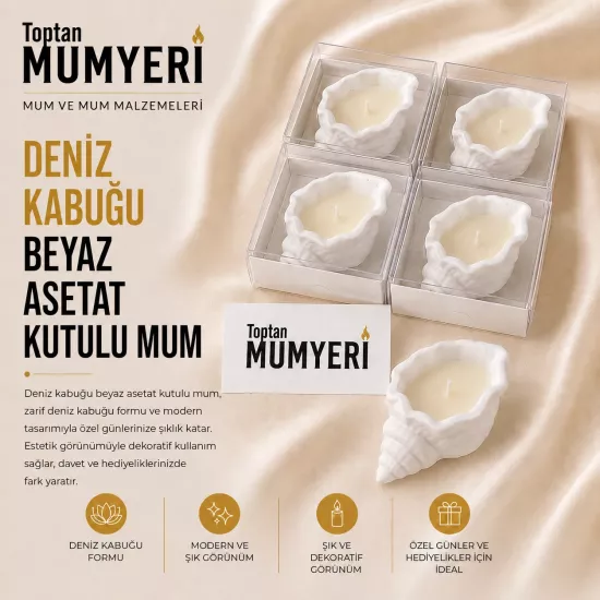 Deniz Kabuğu Beton Beyaz Asetat Kutulu Mum