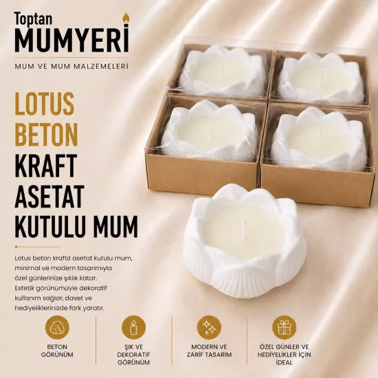 Lotus Beton Kraft Asetat Kutulu Mum