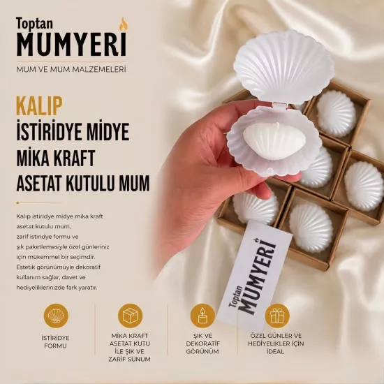 Kalıp İstiridye Midye Mika Kraft Asetat Kutulu Mum