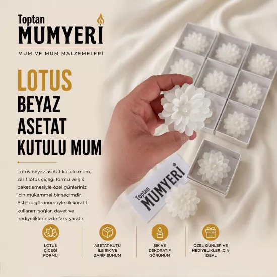  Lotus Beyaz Asetat Kutulu Mum