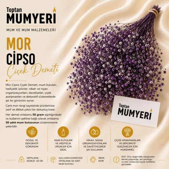 Mor Cipso Çiçek Demeti