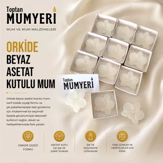 Orkide Beyaz Asetat Kutulu Mum