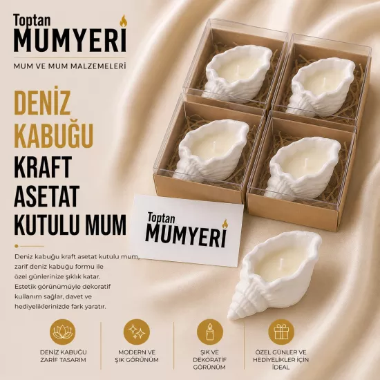 Deniz Kabuğu Beton Kraft Asetat Kutulu Mum