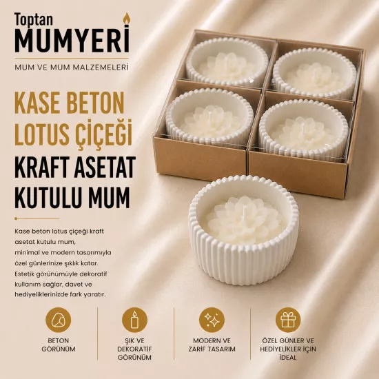Kase Beton Lotus Çiçeği Kraft Asetat Kutulu Mum