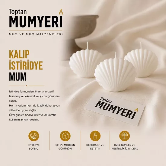 Kalıp İstiridye Mum