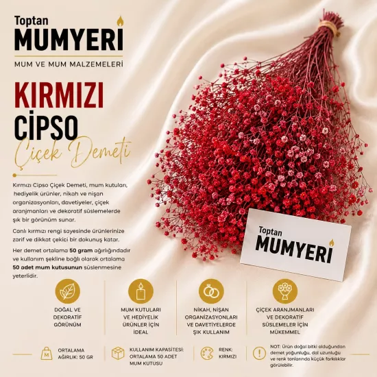 Kırmızı Cipso Çiçek Demeti